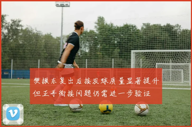 樊振东复出后接发球质量显著提升但正手衔接问题仍需进一步验证